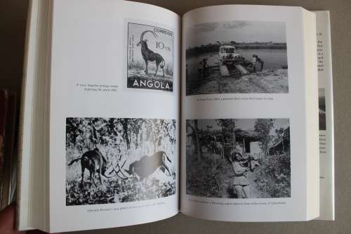 A Certain Curve of Horn: The Hundred-Year Quest for the Giant Sable Antelope of Angola