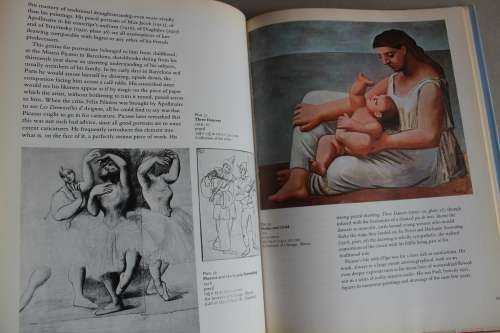 PICASSO and his art  - Denis Thomas