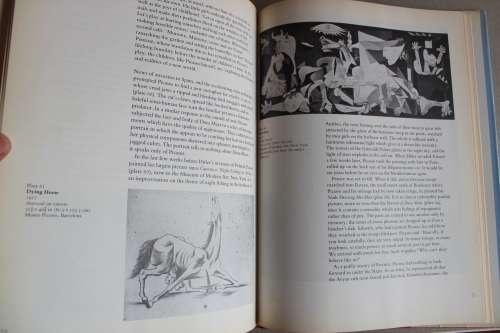 PICASSO and his art  - Denis Thomas
