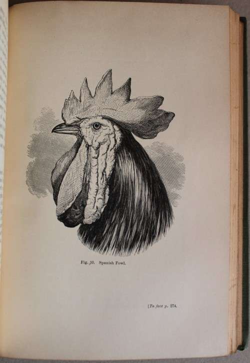 Charles Darwin -The Variation of Animals & Plants under Domestication