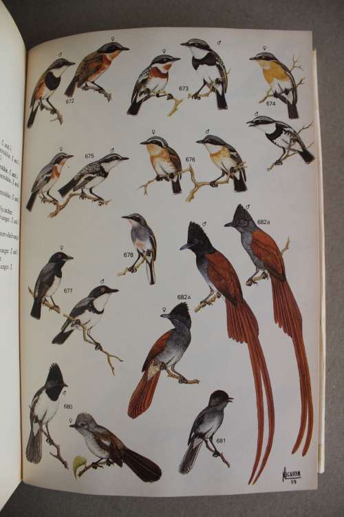 Roberts Birds of South Africa - McLachlan & Liversidge