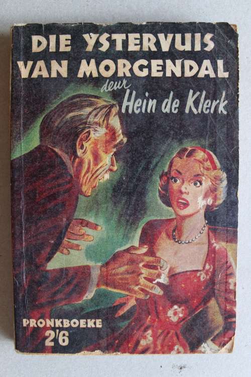 Die ystervuis van Morgendal - Hein de Klerk