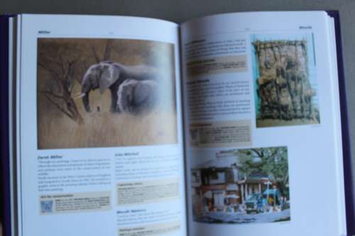 The Collector`s Guide to Art and Artists in South Africa