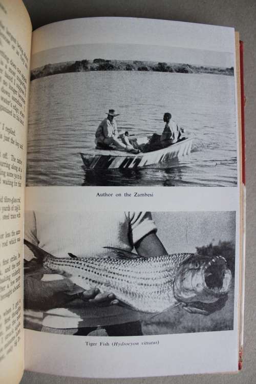 Angling In Rhodesia -  ABW Impey