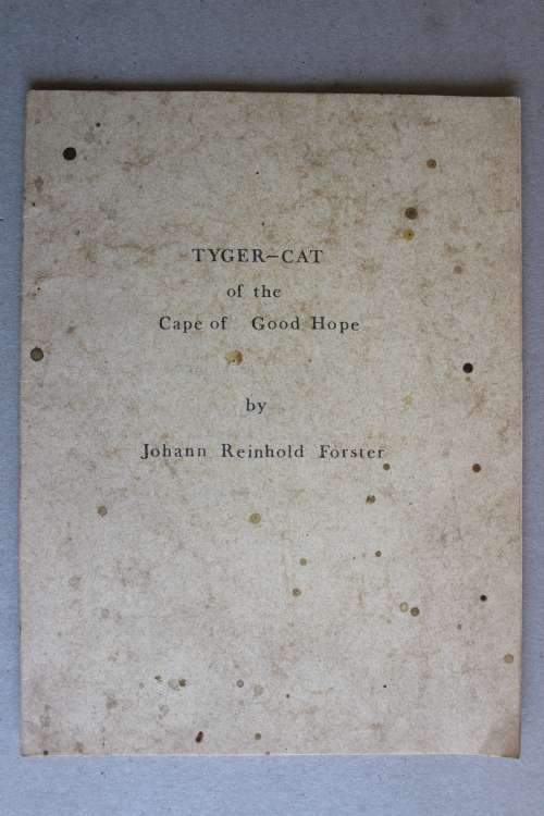Tyger-cat of the Cape of Good Hope - (Johann Reinhold Forster 1729-98)