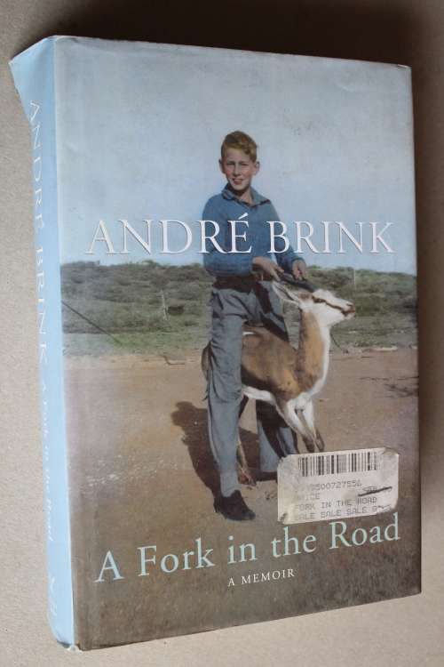 A Fork in the Road - Andre Brink