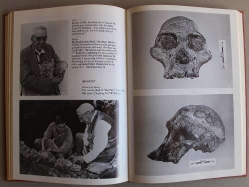 Dr Robert Broom. Palaeontologist & Physician 1866-1951