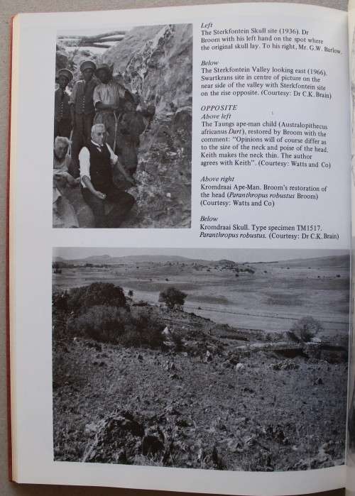 Dr Robert Broom. Palaeontologist & Physician 1866-1951