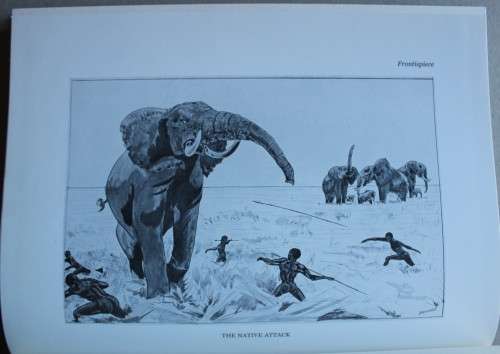 W. D. M. Bell The Wanderings of an Elephant Hunter