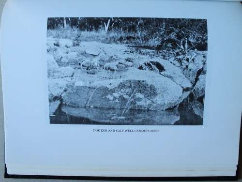 W. D. M. Bell The Wanderings of an Elephant Hunter
