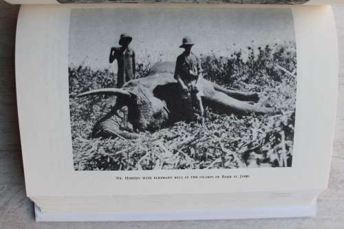 Big Game Hunting and Collecting in East Africa 1903 - 1926   - Kalman Kittenberger