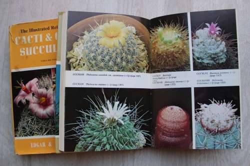 Illustrated Reference on Cacti & other Cucculents - Edgar Lamb