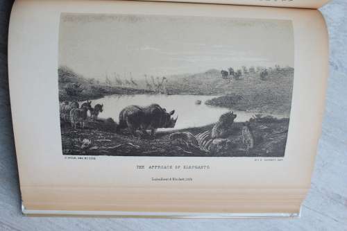 LAKE NGAMI - Charles John Andersson