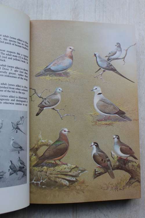 The Doves, Parrots, Louries and Cuckoos of Southern Africa - M.K. Rowan
