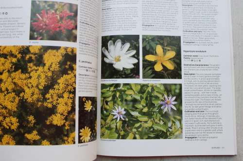 Gardening with indigenous plants  - Kristo Pienaar