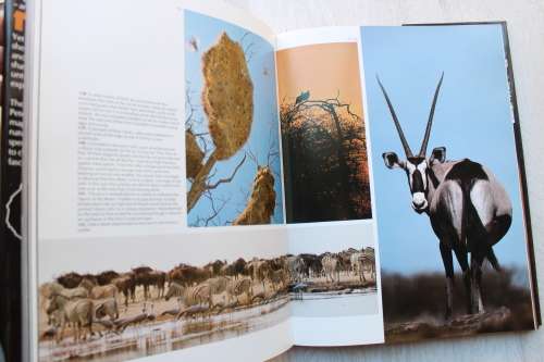 Namibia- Africa`s Harsh Paradise - Bannister & Johnson