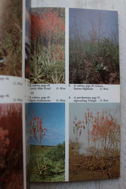 A FIELD GUIDE TO THE ALOES OF RHODESIA - Oliver West  - Bundu series