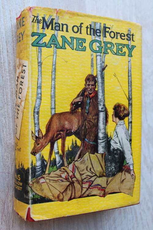 Man of the Forest - Zane Grey