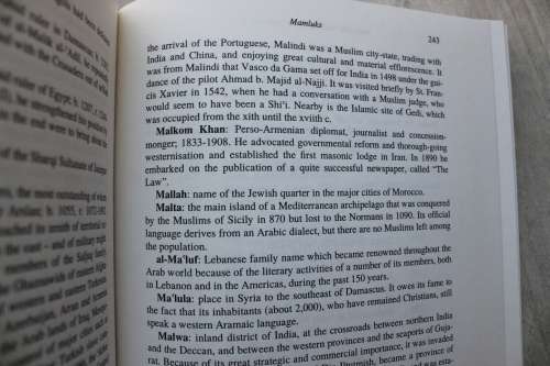 Islamic Desk Reference: Compiled from the Encyclopaedia of Islam - Van Donzel