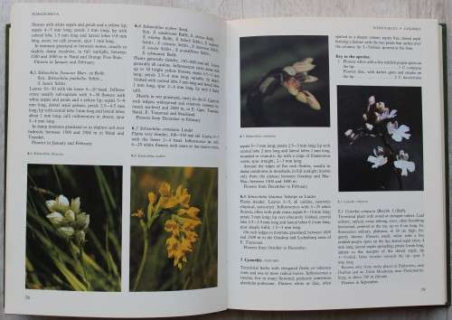 Wild orchids of Southern Africa - Joyce Stewart et al