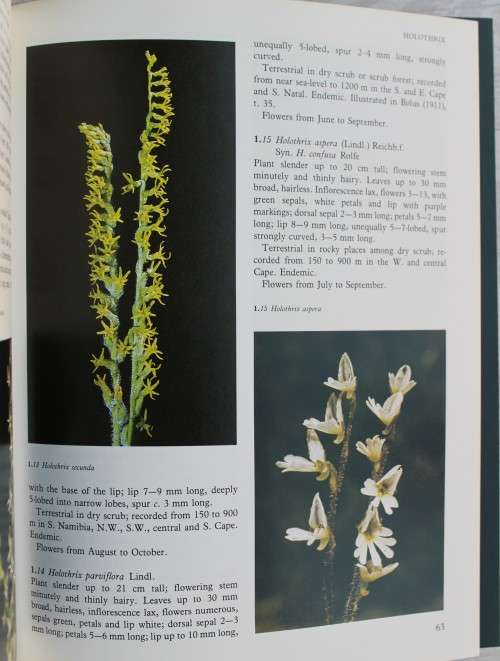Wild orchids of Southern Africa - Joyce Stewart et al