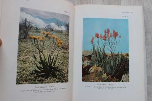 The Aloes of Tropical Africa and Madagascar - Reynolds - Subscriber's Edition limited numbered
