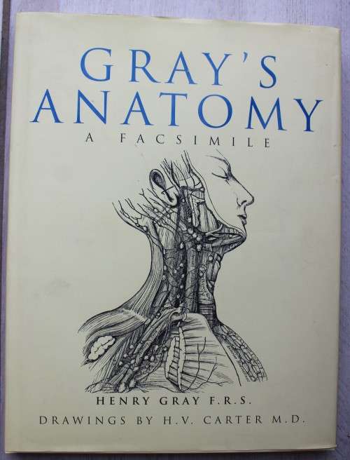 Gray`s Anatomy , a facsimile - Henry Gray