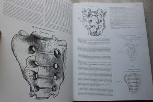 Gray`s Anatomy , a facsimile - Henry Gray