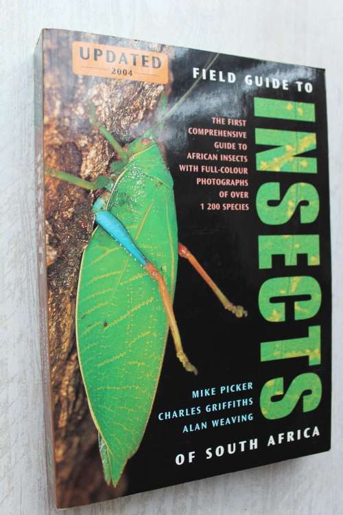 Field Guide To Insects of South Africa by Mike Picker, Charles Griffiths and Alan Weaving
