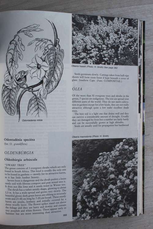 Trees, Shrubs and Climbers - Kruger