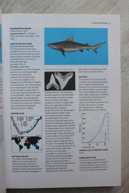 A Guide to The Common Sea Fishes of Southern Africa : Rudy van der Elst