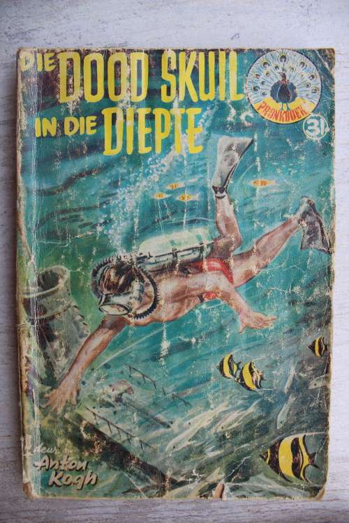 Die dood skuil in die diepte - Anton Kogh