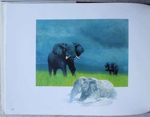 SIGNED: Manzovo - Place of the Elephants - Gary Albyn and Craig Bone