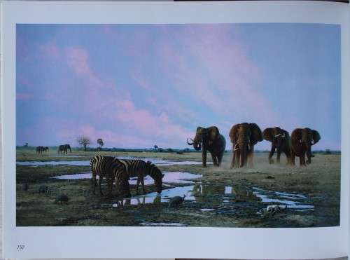 SIGNED: Manzovo - Place of the Elephants - Gary Albyn and Craig Bone