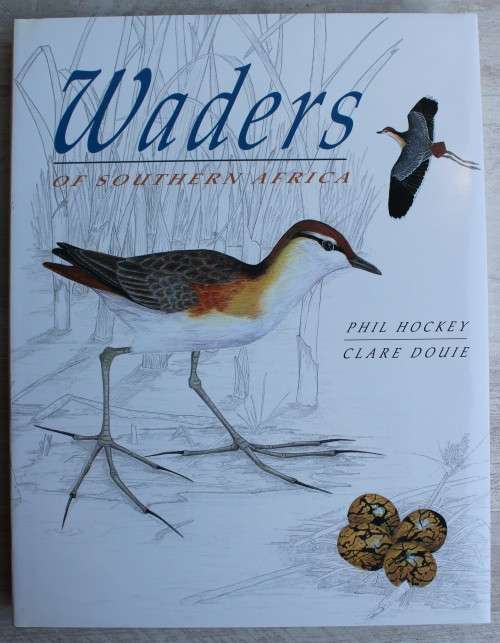 WADERS OF SOUTHERN AFRICA -- Phil Hockey and Clare Douie