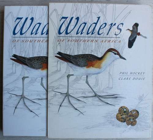 WADERS OF SOUTHERN AFRICA -- Phil Hockey and Clare Douie
