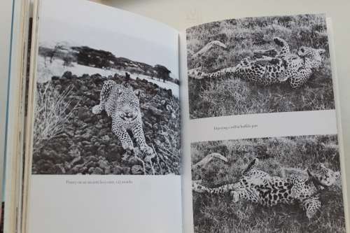 Queen of Shaba, The Story of an African Leopard - Joy Adamson