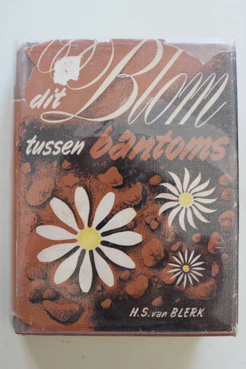 Dit blom tussen bantoms - Van Blerk