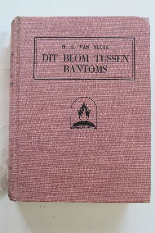 Dit blom tussen bantoms - Van Blerk