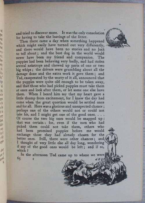 Jock of the Bushveld - Percy Fitzpatrick