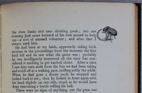 Jock of the Bushveld - Percy Fitzpatrick