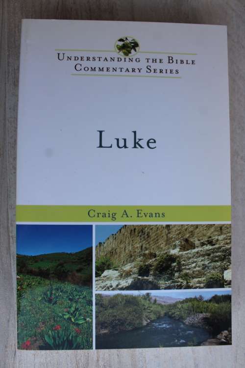 Luke- Understanding the Bible Commentary Series - Provan