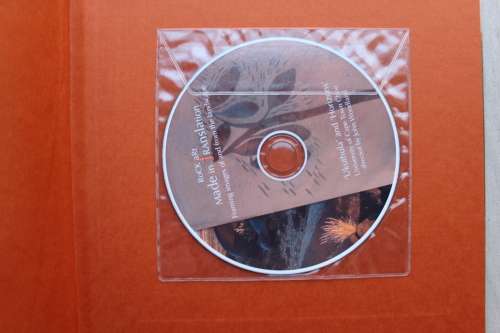 Rock Art. Made in Translation. Framing images of and from the landscape - Skotnes