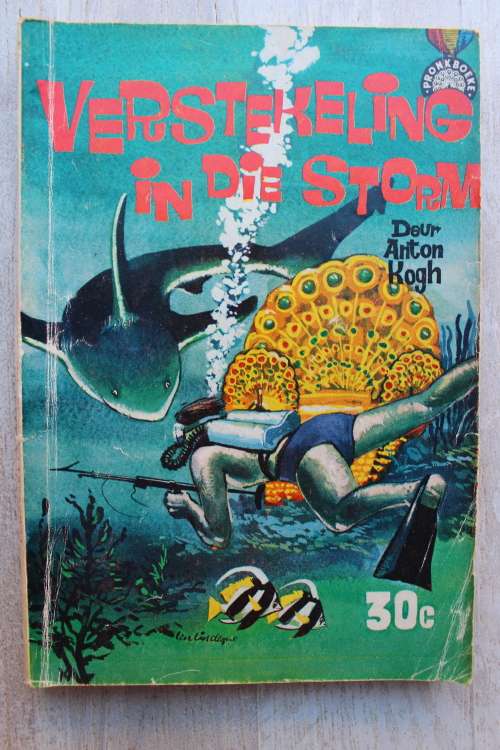 Verstekeling in die storm - Anton Kogh            Pronkboek
