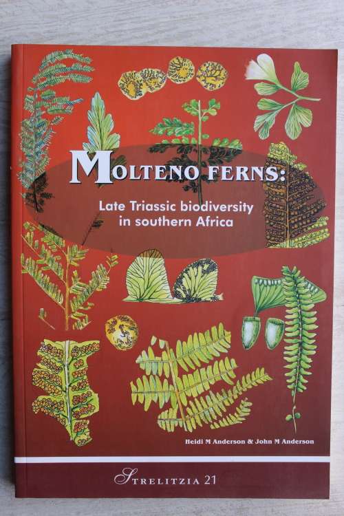 Molteno Ferns: Late Triassic Biodiversity in Southern Africa - Anderson