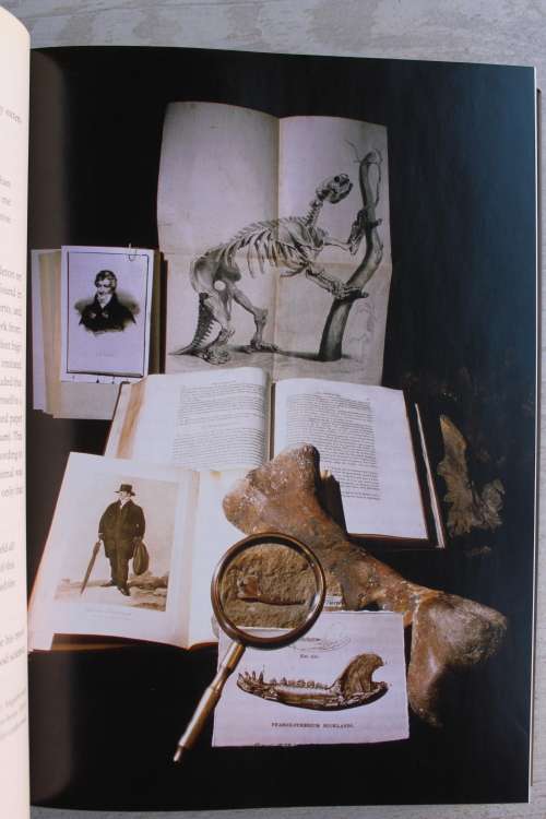 Missing Links: In Search of Human Origins - John Reader