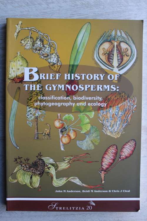 Brief history of gymnosperms: classification, biodiversity, phytogeography and ecology - Anderson