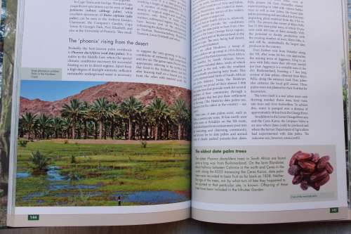 Remarkable Trees of South Africa - Neels Esterhuyse, Jutta Von Breitenbach, Hermien Sohnge