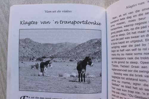 Vlam uit die vlaktes - Roubaix