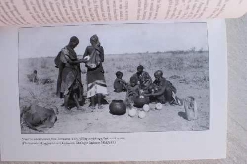 Up from Slavery: Slaves at the Cape: Their Origins, Treatment and Contribution - RE Van der Ross